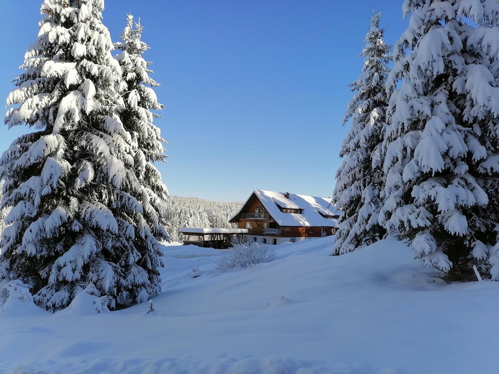 Ferienwohnung Heustüble Hinterzarten Exterior foto